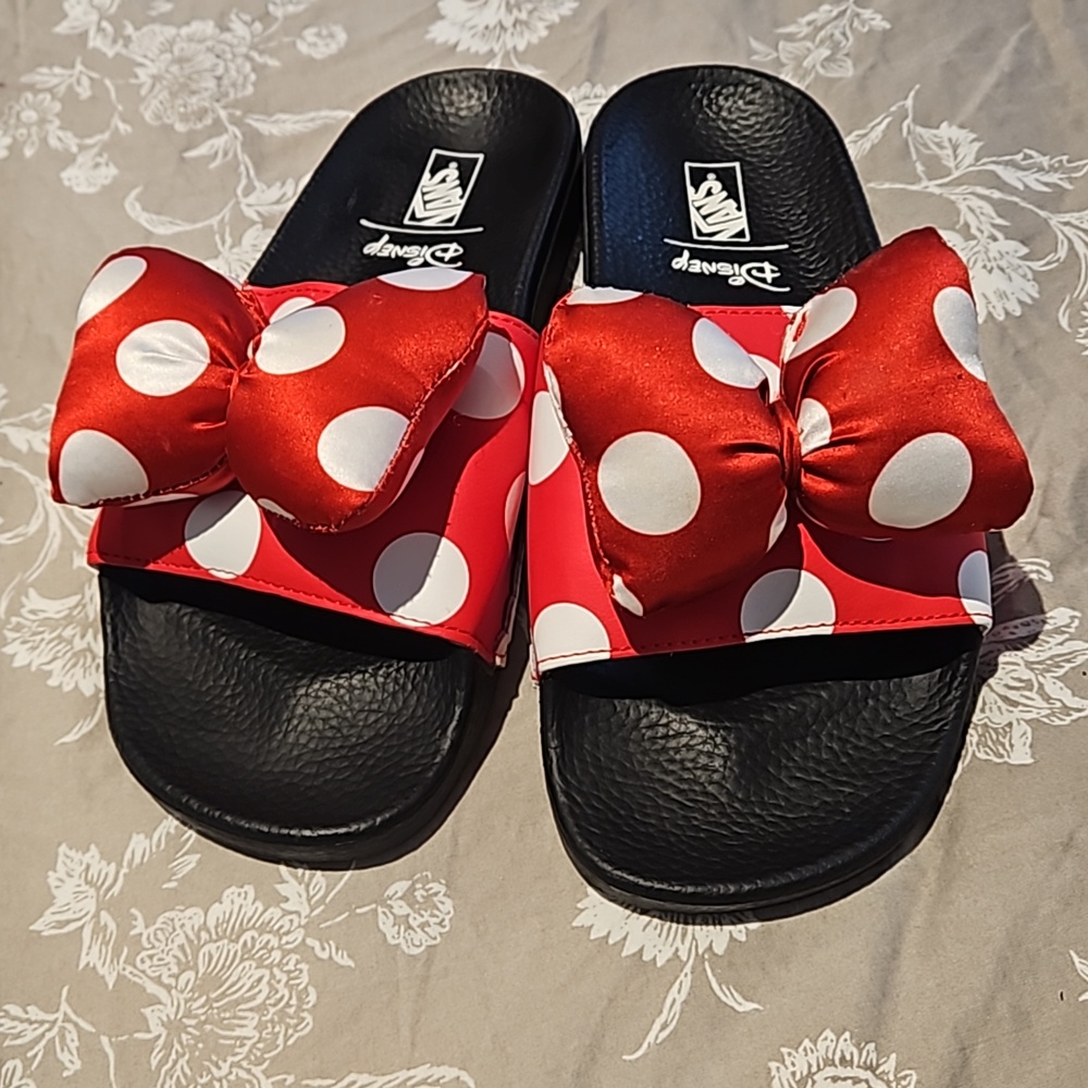 Minnie Mouse Van slides